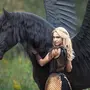 Пегас лошадь