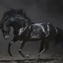Черная лошадь