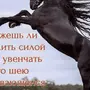 Лошадь На Дыбах