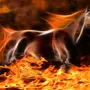 Огненная лошадь