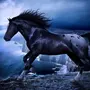 Черные Лошади