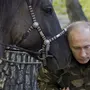Путин на коне
