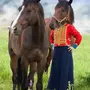 Конь в пальто приколы