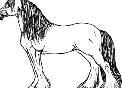 Лошадь картинка раскраска