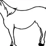 Лошадь картинка раскраска