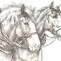 Тройка лошадей рисунок