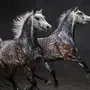 Лошадь В Яблоках
