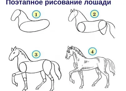 Лошадь рисунок карандашом поэтапно