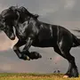 Скачать лошадей