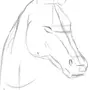 Картинки голова лошади как рисовать