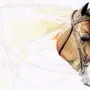 Картинки голова лошади как рисовать
