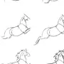 Картинки Лошадей Карандашом Для Срисовки