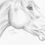 Картинки лошадей карандашом для срисовки