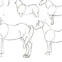 Картинки Лошадей Карандашом Для Срисовки