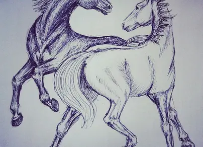 Лошади для срисовки