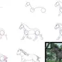 Лошадь Рисунок Поэтапно