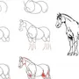 Лошадь рисунок поэтапно