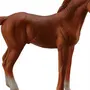 Лошадь С Жеребенком Картинки Для Детей