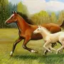 Лошадь С Жеребенком Картинки Для Детей
