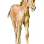 Лошадь с жеребенком картинки для детей