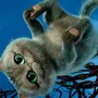 Фотки Чеширского Кота