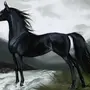 Вороной лошади