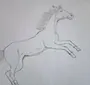 Картинки Лошадей Рисовать