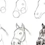 Картинки лошадей рисовать