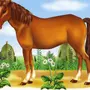 Лошадь Детская Картинка