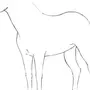 Лошадь Рисунок Карандашом