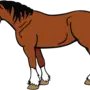 Картинка лошадь для детей