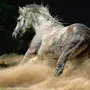 Лошади Красивые Картинки