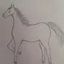 Лошадь Рисунок