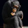 Задумчивая обезьяна картинка