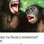 Картинки с обезьянами прикольные смешные с надписями