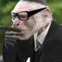 Курящая обезьяна