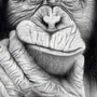 Шимпанзе рисунок