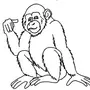 Рисунок про обезьянку