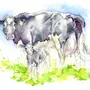 Корова На Лугу Рисунок