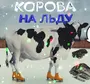 Корова На Льду Картинки