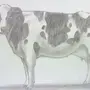 Корова Простой Рисунок