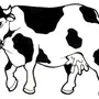 Корова черно белая картинка