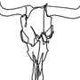 Голова быка рисунок