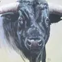 Голова быка рисунок