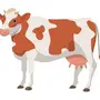 Корова картинка для детей