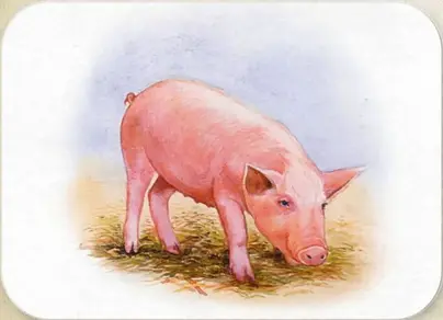 Свинья с поросенком картинки для детей