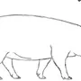 Легкий Рисунок Свиньи