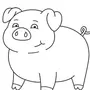 Легкий Рисунок Свиньи