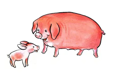 Свинья рисунок для детей