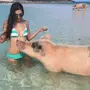 Ну погоди свинья в купальнике картинка